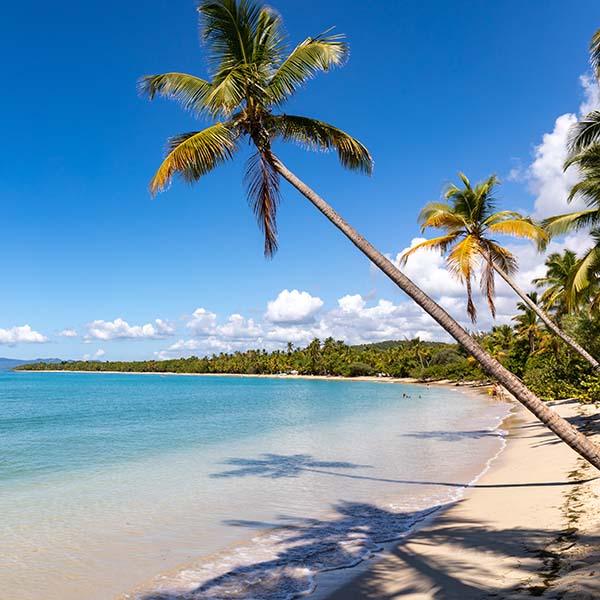 attractions touristiques en martinique a découvrir facilement en voiture