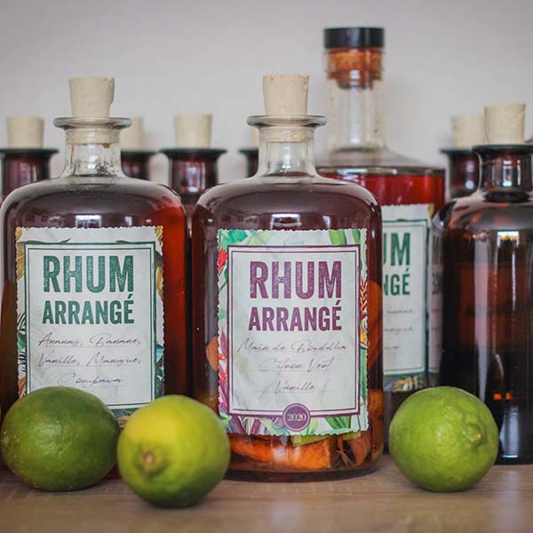 circuit dégustation rhum martinique 