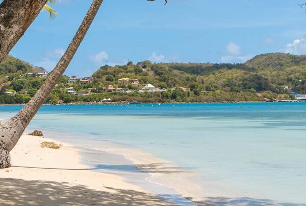 Location auto en martinique