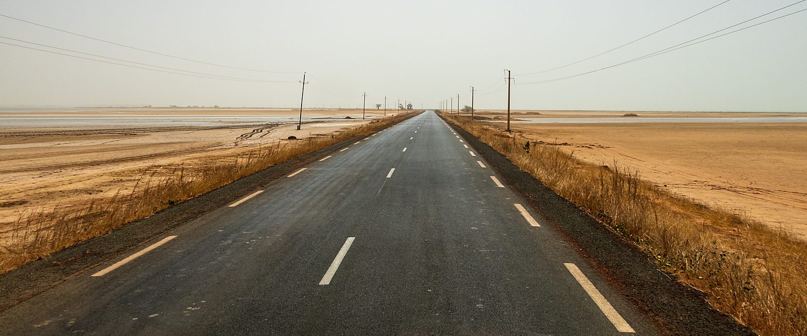 A tarmac road running through a Senegalese national park.