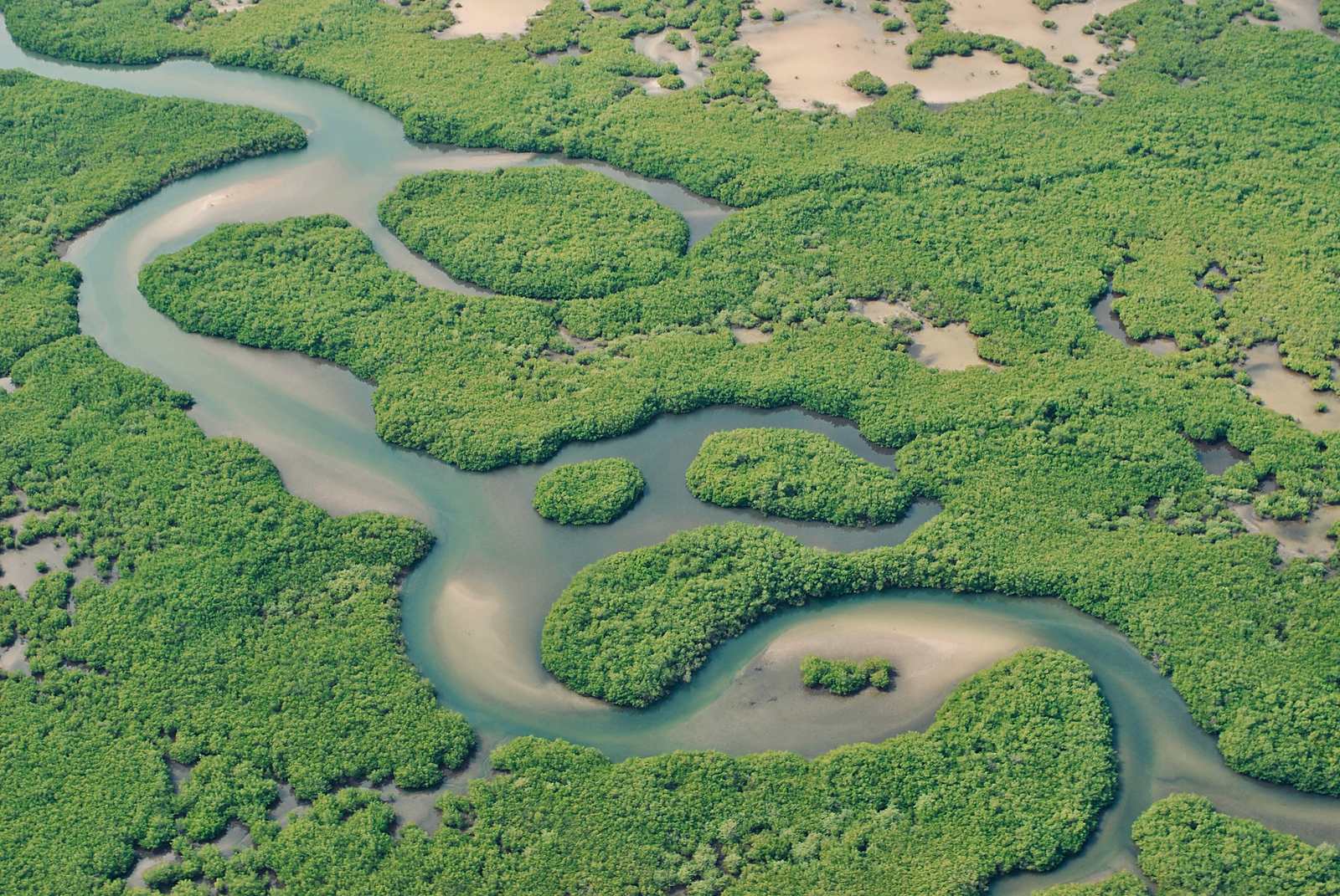 The channels and mangroves of the Saloum delta seen from the air.